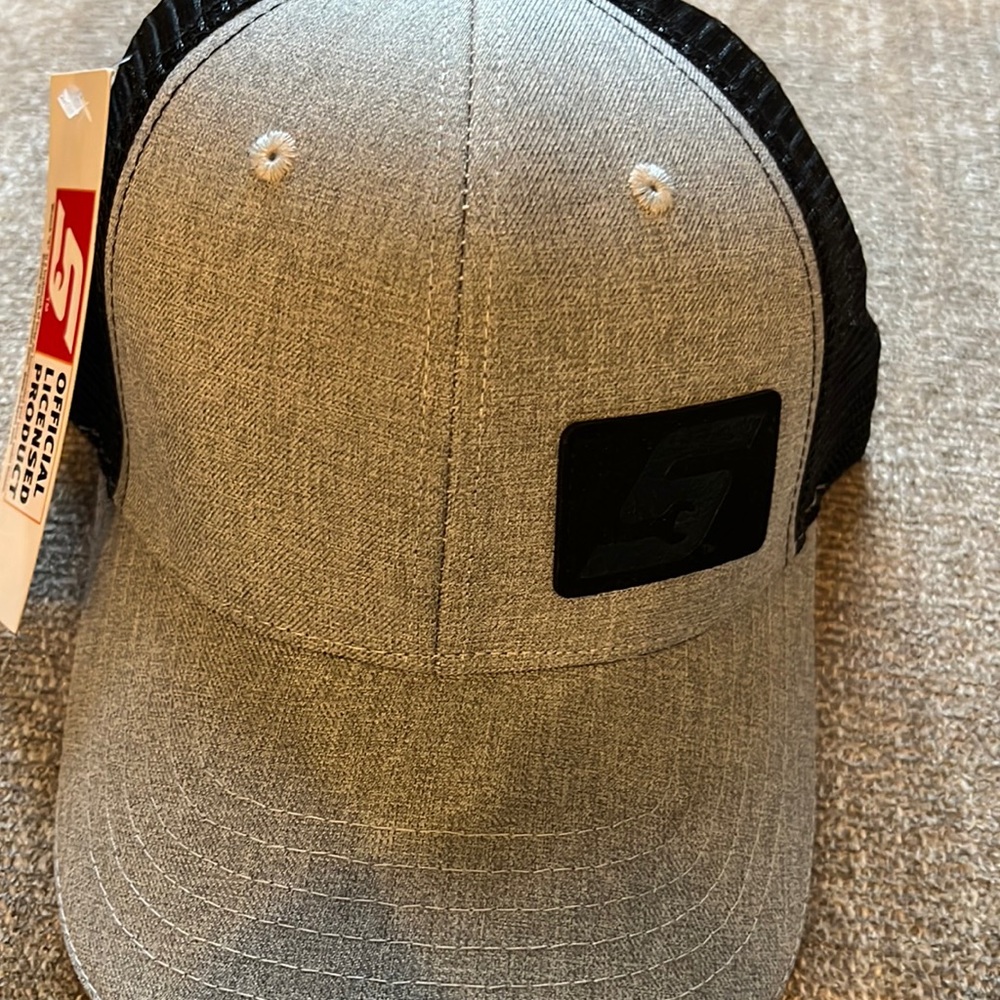 Snap on hat. Gray and black. Brand new with the tag